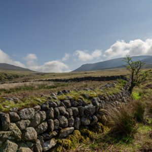 Living the Comeragh Dream