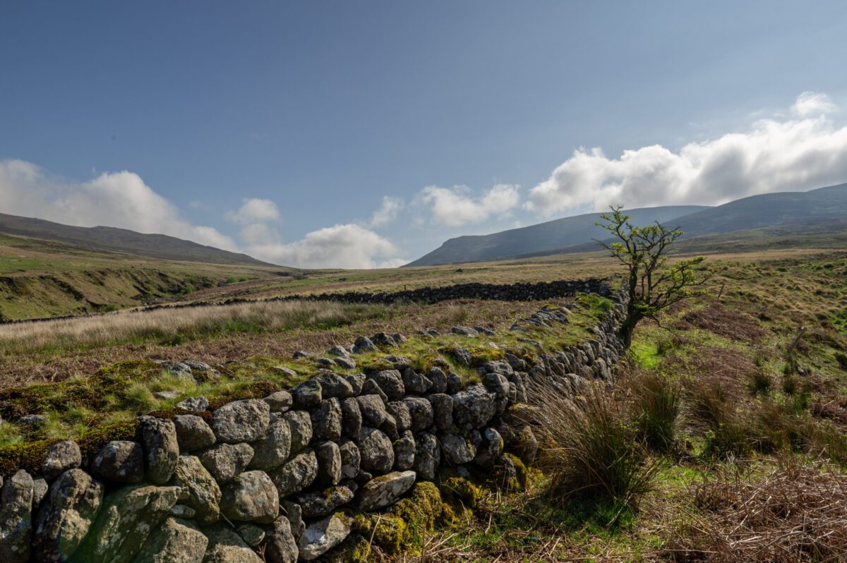 Living the Comeragh Dream