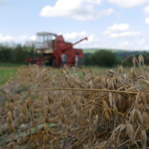 Biodiversity and good food for all