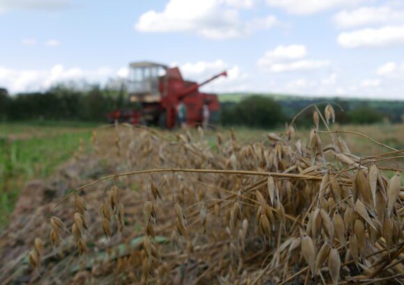 Biodiversity and good food for all