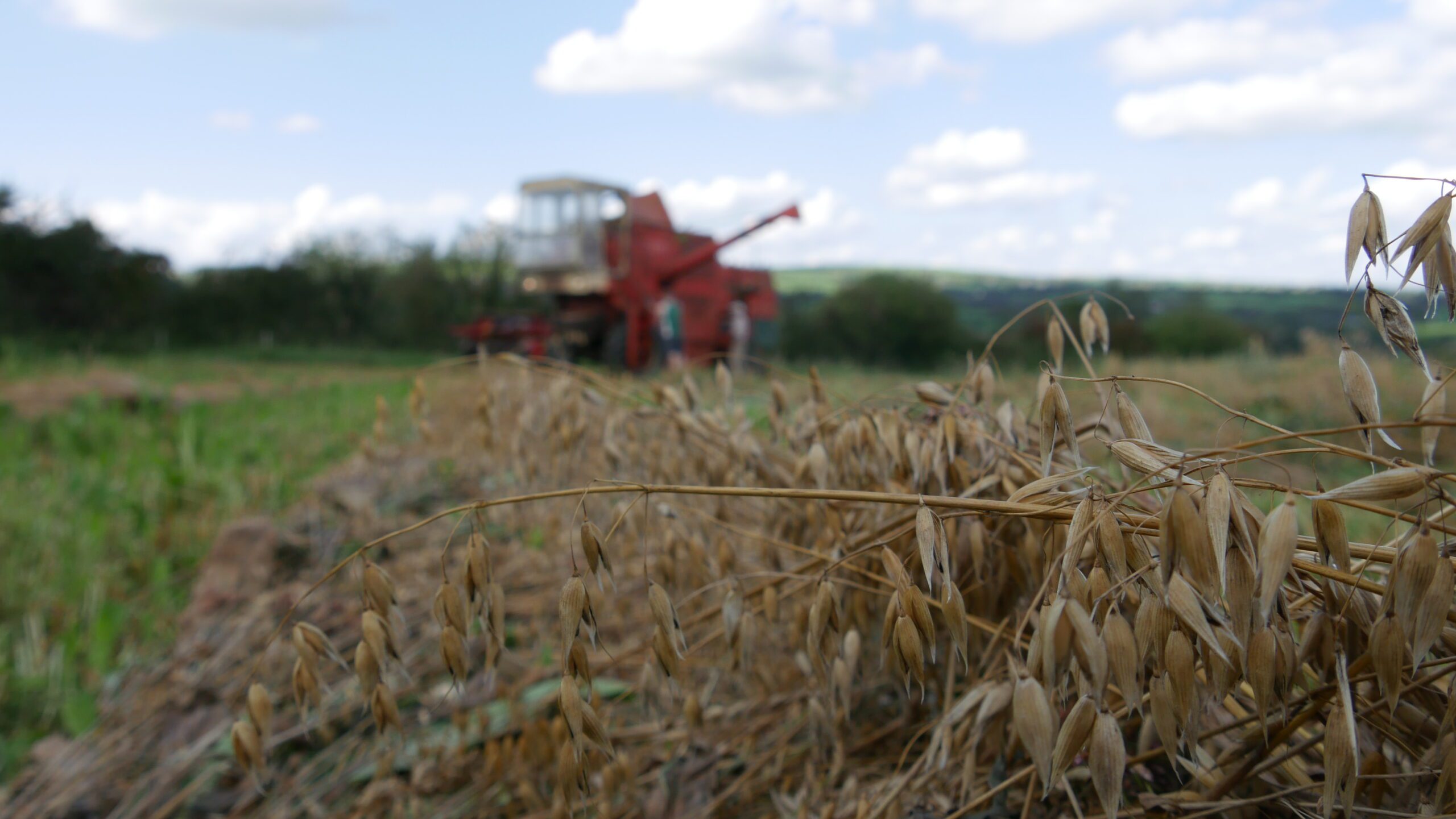 Biodiversity and good food for all